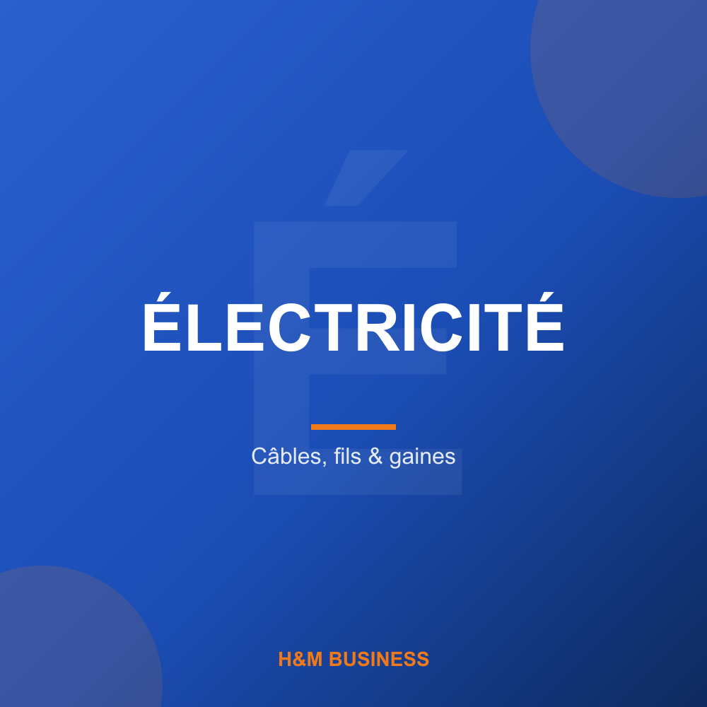 Électricité