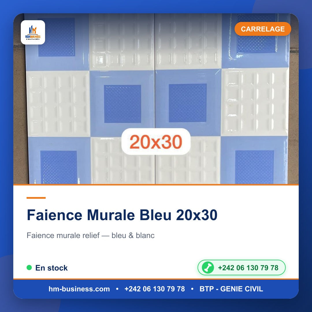 Faience Murale Bleu 20x30