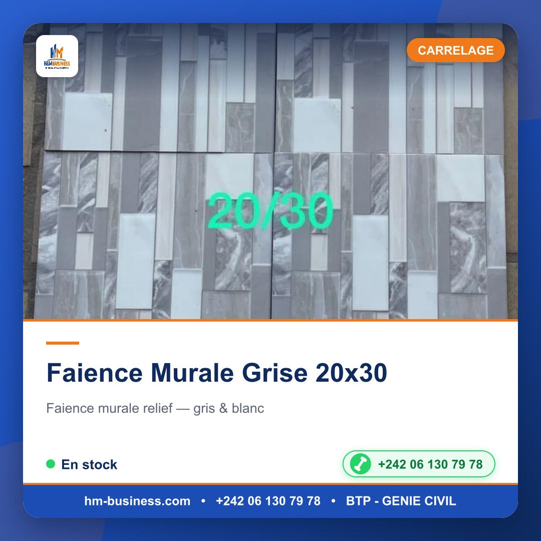 Faience Murale Grise 20x30